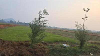 Image of 167 Sq.ft Residential Plot / Land for sale in Sontyam, Visakhapatnam for Rs. 2672000
