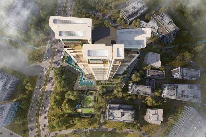 The Falcon Main Image 1