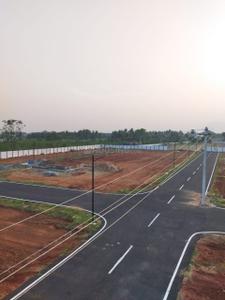 Oraikalpalayam Plot View 3