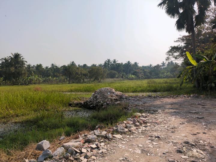 Natures Paradise Main Image 1