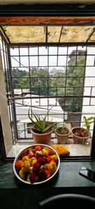 Balcony Image of 635 Sq.ft 1 BHK Apartment / Flat for sale in Dwarka Nashik for Rs. 3200000