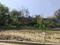 Dharvi Green Plot View 2