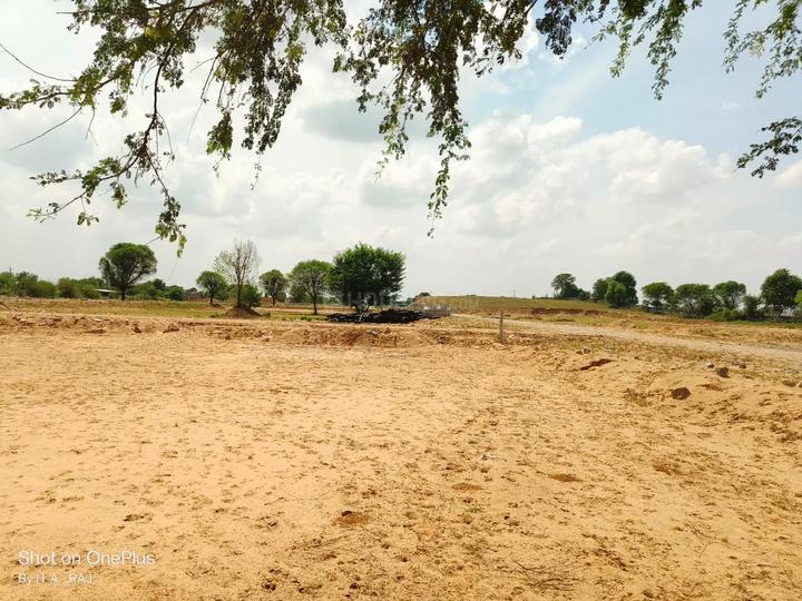 Royal City, Manchwa Main Image 1