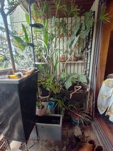 Balcony Image of 1050 Sq.ft 2 BHK Apartment / Flat for sale in Jakkur Bengaluru for Rs. 15000000