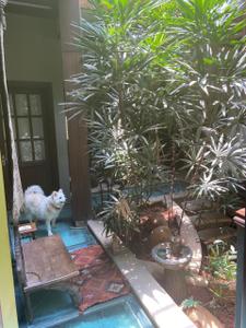 Balcony Image of 5500 Sq.ft 6 BHK Villa for sale in Victorian Meadows, Munnekollal Bengaluru for Rs. 150000000