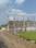 Cantt Plot View 2