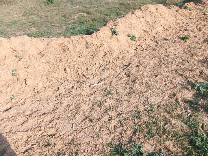 Sector 102A Main Image 1