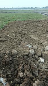 Residential Plot