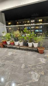 Balcony Image of 800 Sq.ft 2 BHK Apartment / Flat for rent in Garden Jaiee Juiee Jaswand, Navsaari Amravati for Rs. 18000