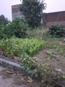 Image of 1360 Sq.ft Residential Plot / Land for sale in Chandmari, Varanasi for Rs. 5500000
