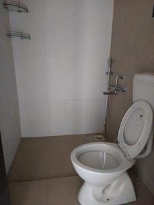 Common Bathroom Image of 1000 Sq.ft 2 BHK Apartment / Flat for rent in Jhala Manjri Greens 5, Hadapsar Pune for Rs. 23000