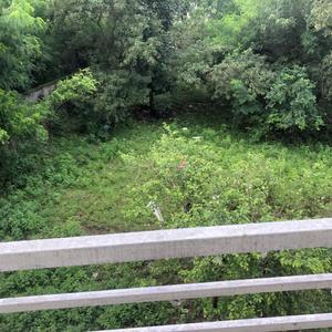 Balcony Image of 1550 Sq.ft 2 BHK Apartment / Flat for rent in Chuna Bhatti Bhopal for Rs. 19000