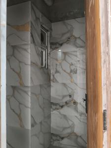Common Bathroom Image of 1650 Sq.ft 3 BHK Apartment / Flat for sale in Skyline Pearl, Noida Extension Greater Noida for Rs. 5805000