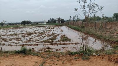 Image of 23270 Sq.ft Residential Plot / Land for sale in Keesara, Secunderabad for Rs. 71875000
