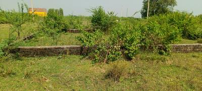 Image of 2000 Sq.ft Residential Plot / Land for sale in Mohanlalganj, Lucknow for Rs. 1800000