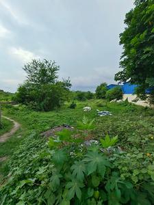 Residential Plot