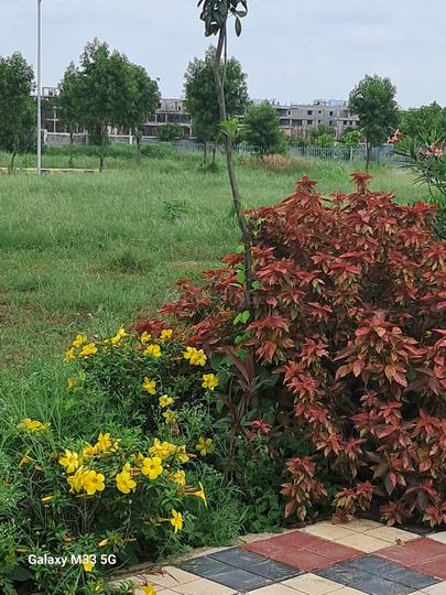 Oxygen county  Main Image 1