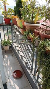 Balcony Image of 1250 Sq.ft 2 BHK Apartment / Flat for rent in Civil Lines Nagpur for Rs. 22000