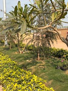 RRR The Grand Green Valley Plot View 3