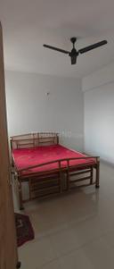 Hall Image of 1050 Sq.ft 2 BHK Apartment / Flat for rent in Matigara Siliguri for Rs. 23000