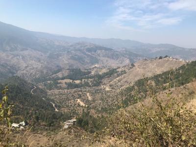 Image of 10800 Sq.ft Residential Plot / Land for sale in Pandeykhola, Almora for Rs. 1000000