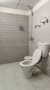 Bathroom Image of 530 Sq.ft 1 BHK Apartment / Flat for rent in Gaurs 14th Avenue, Noida Extension Greater Noida for Rs. 16501
