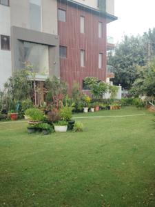 Image of 500 Sq.ft Residential Plot / Land for sale in Sushant Lok Phase 1, Gurgaon for Rs. 170000000