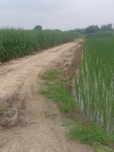 Image of 7163 Sq.ft Residential Plot / Land for sale in kairana, Shamli for Rs. 12000000