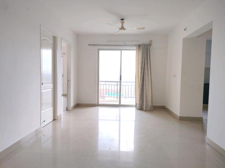 Confident Aquila Main Image 1