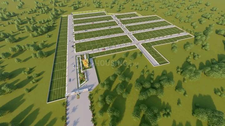 AK dream Main Image 1