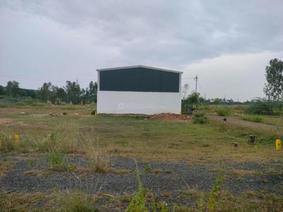 Residential Plot