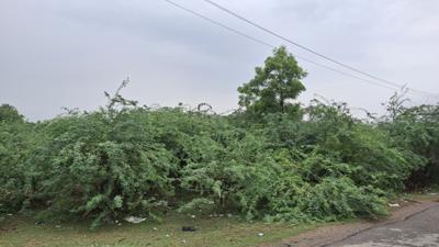Image of 5812 Sq.ft Residential Plot / Land for sale in Bani, Sadar, Unnao for Rs. 5300000