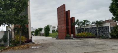Rewati Plot View 2