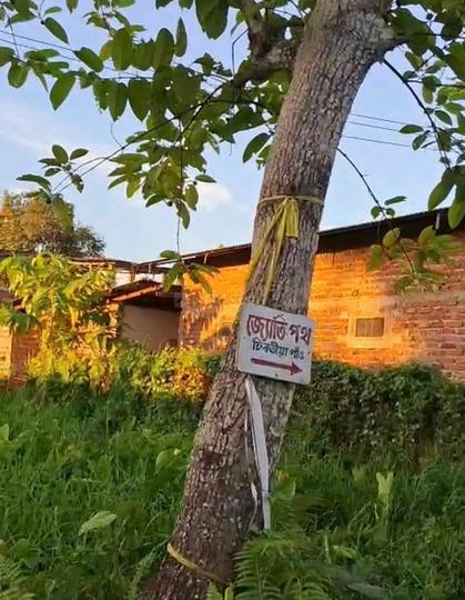 Pulibor Main Image 1