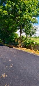 Image of 174240 Sq.ft Residential Plot / Land for sale in Kadthal, Hyderabad for Rs. 100000000