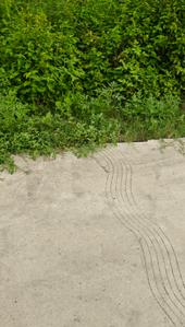 Image of 900 Sq.ft Residential Plot / Land for sale in Ajabpur Khurd, Dehradun for Rs. 7500000