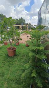 Image of 1199 Sq.ft Residential Plot / Land for sale in Altera Bella Gardenia, Malur, Kolar for Rs. 5160000