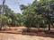 Kompally Plot View 2