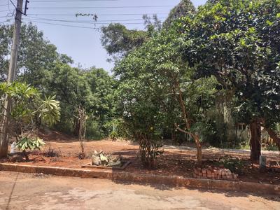 Kompally Plot View 2