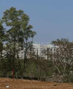 Pirangut Plot View 1