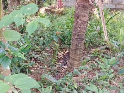 Image of 1568 Sq.ft Residential Plot / Land for sale in Illathaazha, Kannur for Rs. 1450000