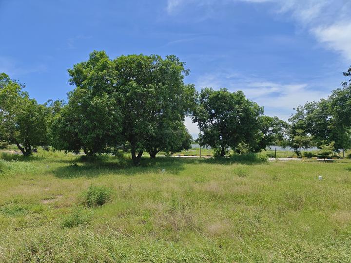 Poonamallee Main Image 1