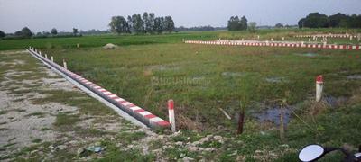 Image of 1000 Sq.ft Residential Plot / Land for sale in Naini, Allahabad for Rs. 800000