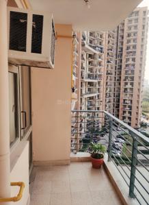 Balcony Image of 160 Sq.ft 1 RK Apartment / Flat for rent in Amrapali Pan Oasis, Sector 70 Noida for Rs. 15500