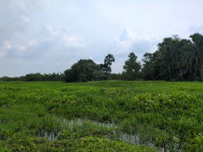 Image of 2160 Sq.ft Residential Plot / Land for sale in Joka, Kolkata for Rs. 510070