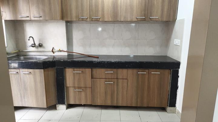 Paras Tierea Main Image 1