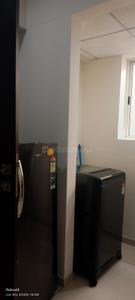 Kitchen Image of 1300 Sq.ft 2 BHK Apartment / Flat for rent in Maradu Kochi for Rs. 38000