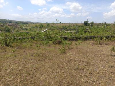 Image of 700 Sq.ft Residential Plot / Land for sale in Lohegaon, Pune for Rs. 1909000