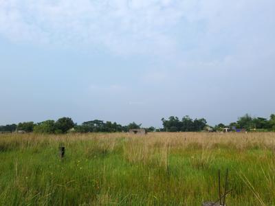 Image of 1440 Sq.ft Residential Plot / Land for sale in Raspunja Township, Joka, Kolkata for Rs. 500000