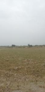 Image of 54440 Sq.ft Residential Plot / Land for sale in Amaniganj, Ayodhya for Rs. 9000000
